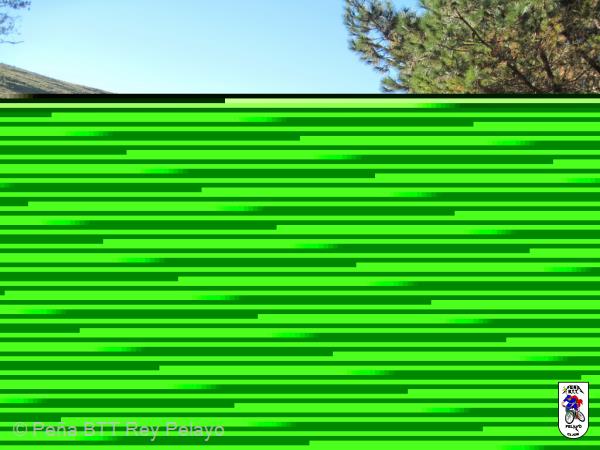 20131207133438.JPG