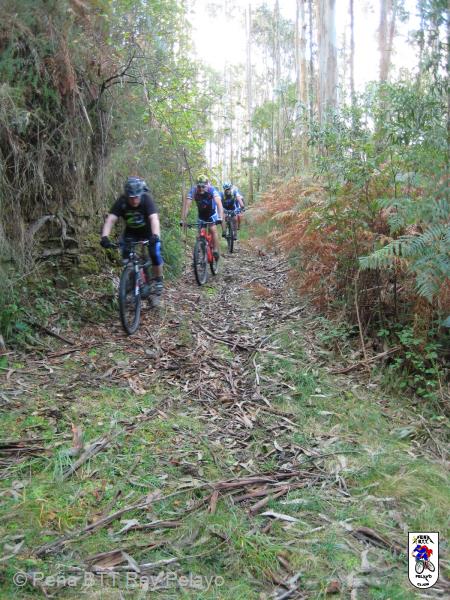20161008133112_byMarin.jpg