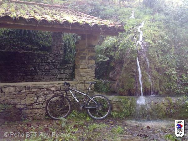 20101204112219_Pau.jpg