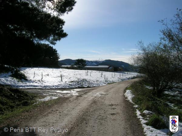 20101204113802.JPG