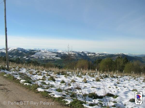 20101204113845.JPG
