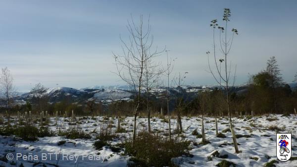 20101204130206.JPG