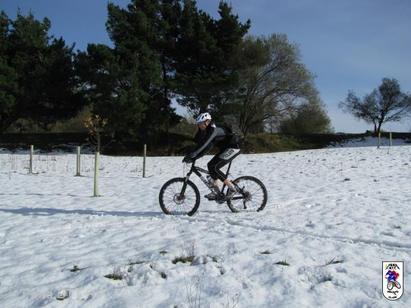 20101204131317.jpg