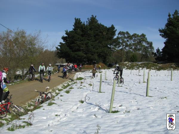 20101204131323.jpg