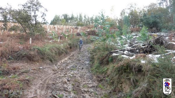 20101204134741.JPG