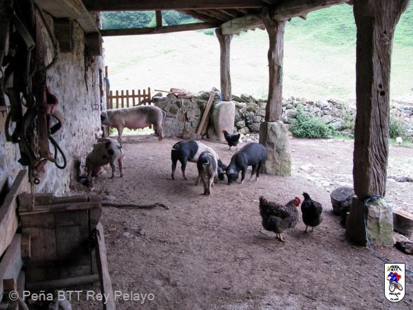 20100717113419.jpg