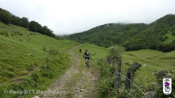 20100717113701.JPG