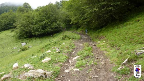 20100717114111.JPG