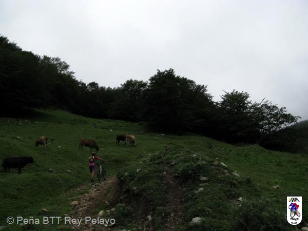 20100717114332.jpg
