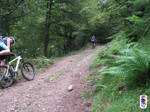 20100717114644.JPG