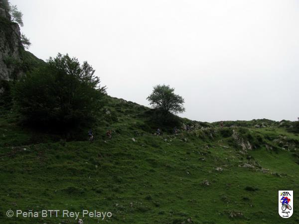 20100717120533.jpg