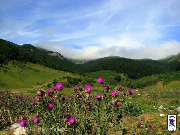 20100717123647.jpg