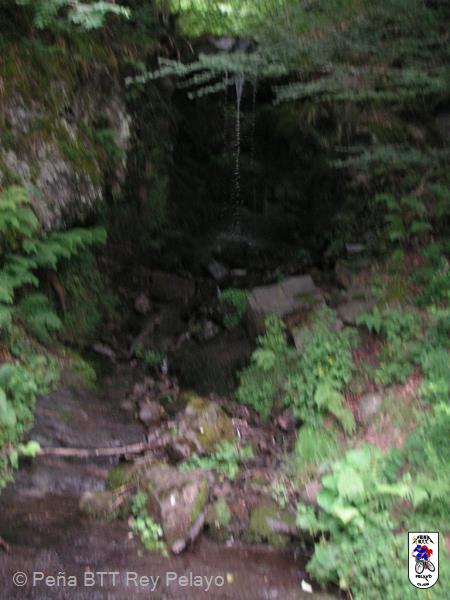 20100717164431.JPG