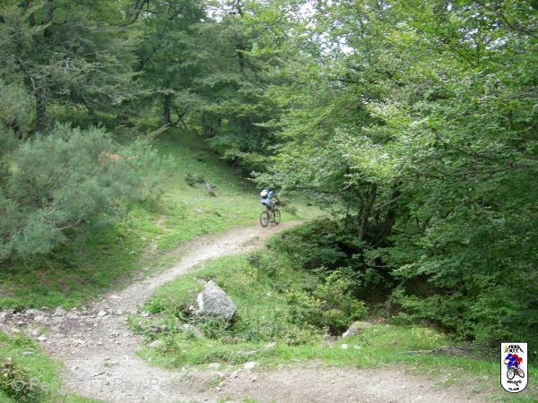 20060729173008-imagen 380.jpg