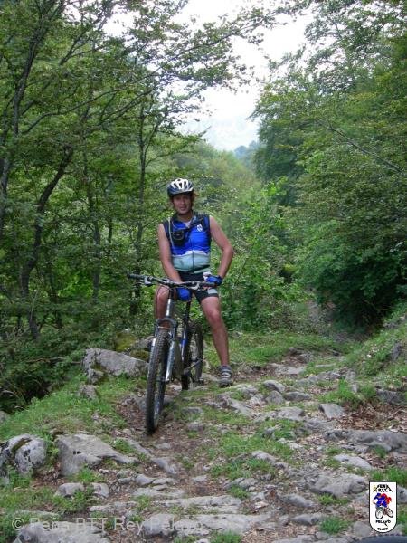 20060729173303-imagen 381.jpg