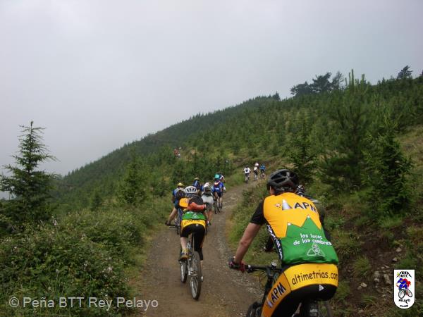 20060617102445-Imagen 011.jpg