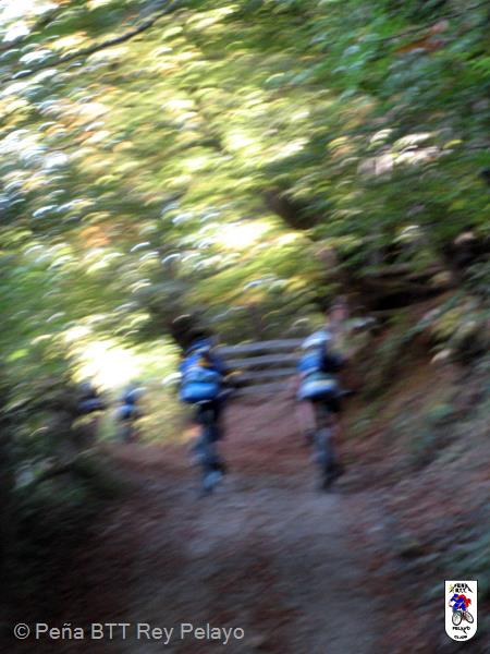 20111015101159.JPG