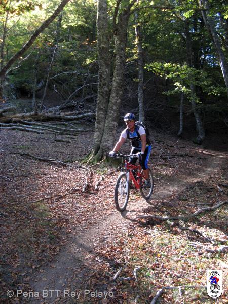 20111015152430.JPG