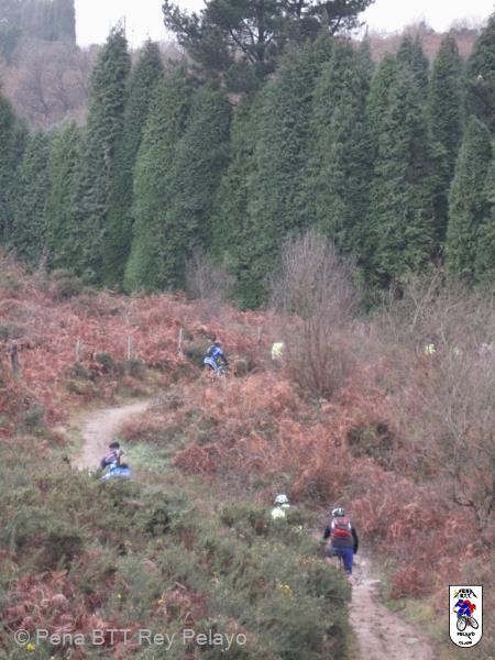 20140111124525.JPG