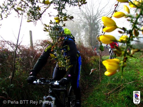 20130216105026.jpg