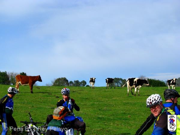 20130216111926.jpg
