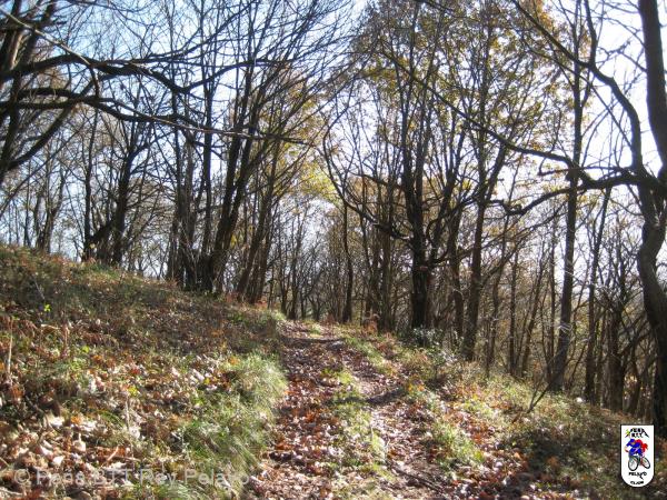 20111225141413.JPG