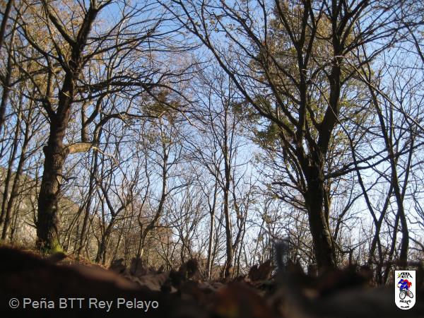 20111225141542.JPG