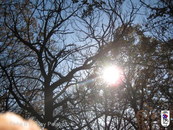 20111225141603.JPG