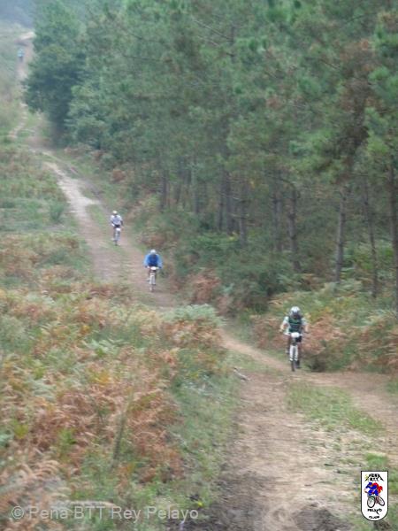 20101016122759_pau.jpg