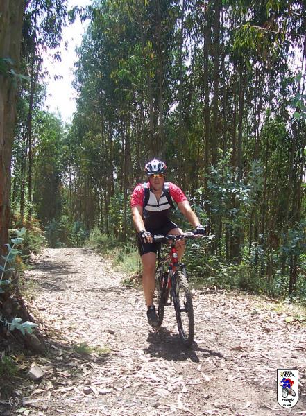 20060729125839-Areo_53.JPG