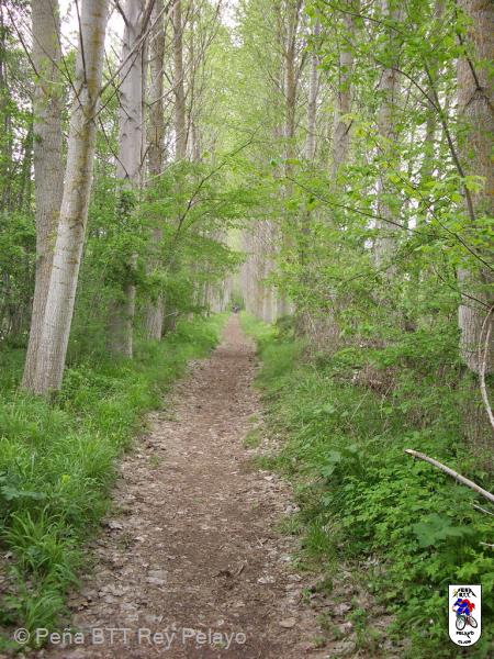 20060507112514-Orbaneja 139.jpg