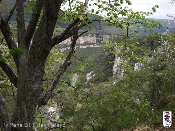 20060507123043-Orbaneja 157.jpg
