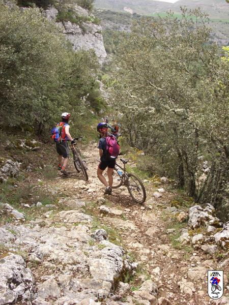 20060507125859-Orbaneja 166.jpg
