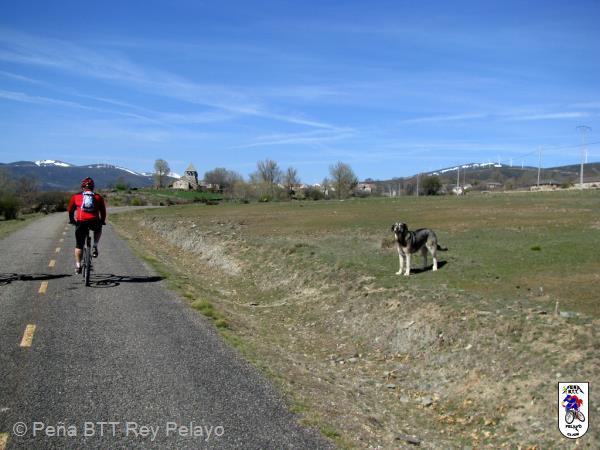 20090405124118juanjo.jpg