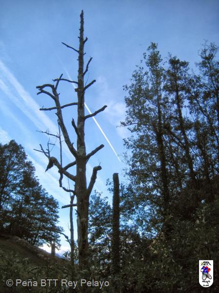 20131019104811.JPG