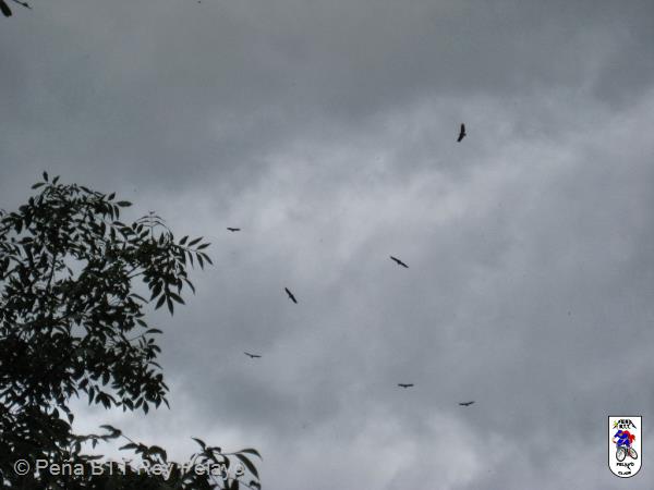 20131019154709.JPG