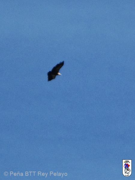 20131012115047.JPG