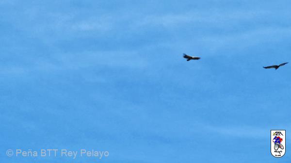 20131016100857.jpg