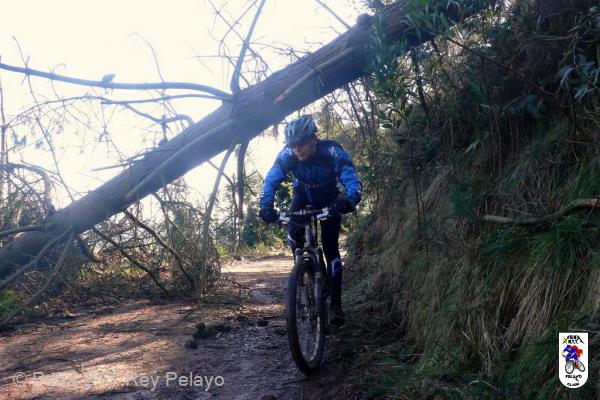 20100220124508juanjo.JPG