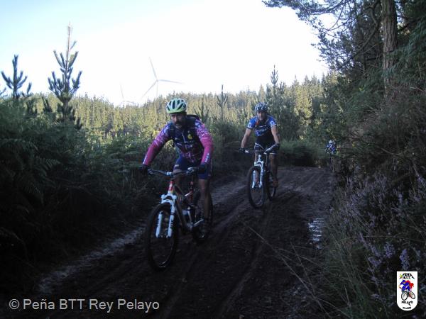20161001112648_bySaul.jpg