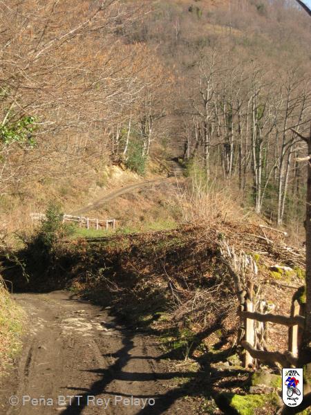 20170225112421_byMarin.jpg
