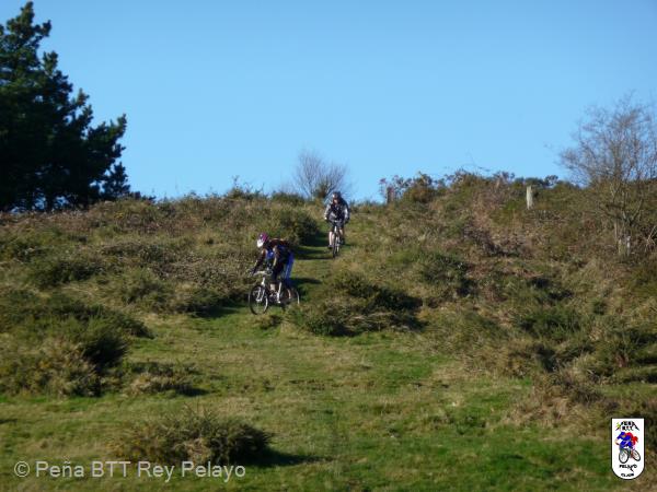 20081225110937_dePau.jpg