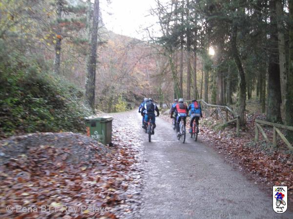 20161206105315_bySaul.jpg
