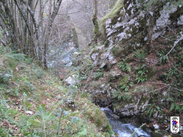20161206120546_bySaul.jpg