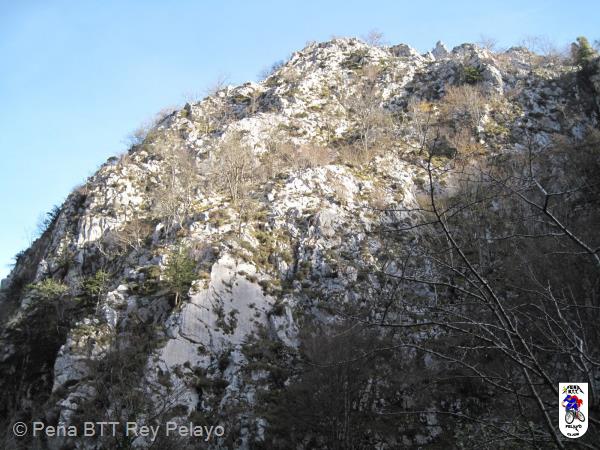 20161206122037_bySaul.jpg