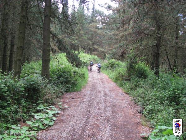 20080607104437_byRuben.jpg