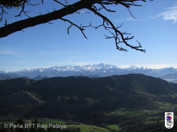 20081220145627_deRuben.jpg