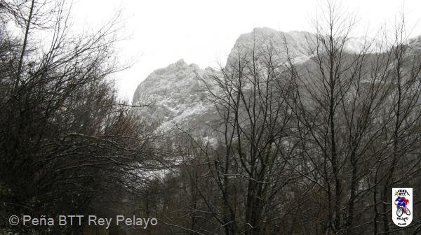 20090124120621_byPablo.jpg