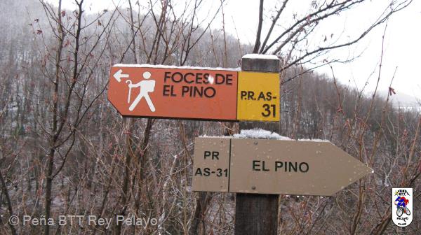 20090124120831_byPablo.jpg