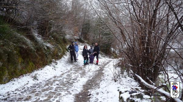 20090124121834_byPau.jpg